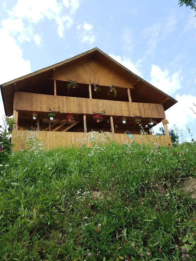 Cabana Suciu Rachitele Exterior foto